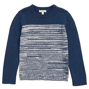 Tucker + Tate Colorblock Sweater Toddler Boy size 2